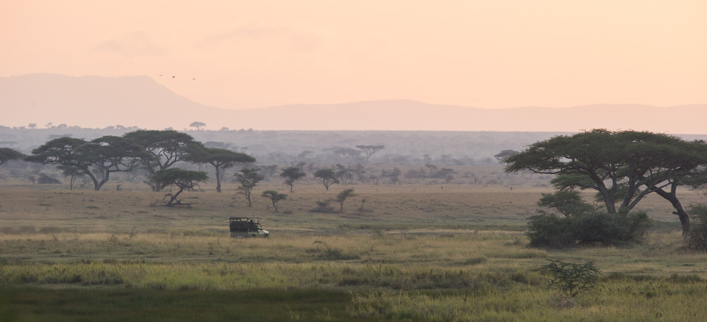 Namiri Plains