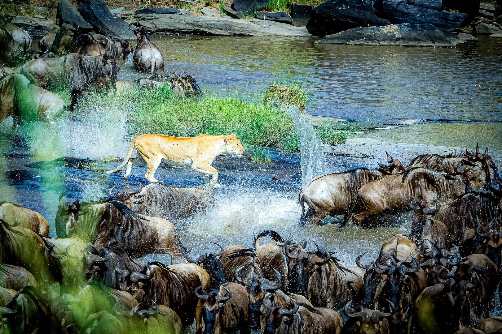 image_processing20211013-10-knlk8o