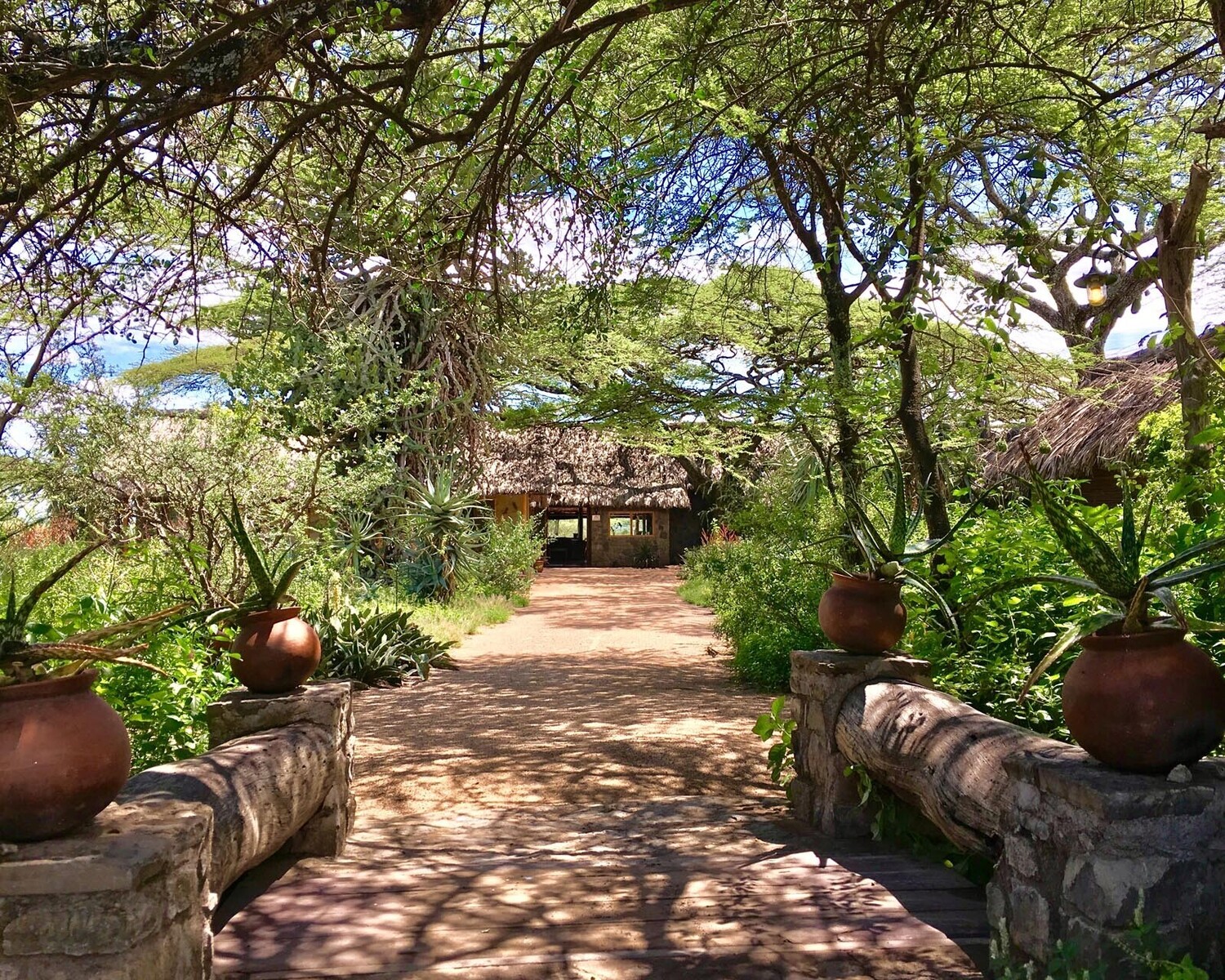 Ndutu Safari Lodge