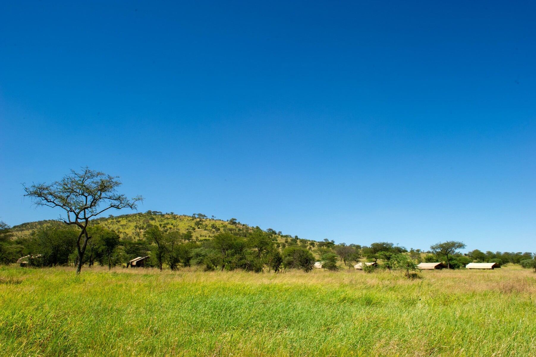 Kati Kati Tented Camp
