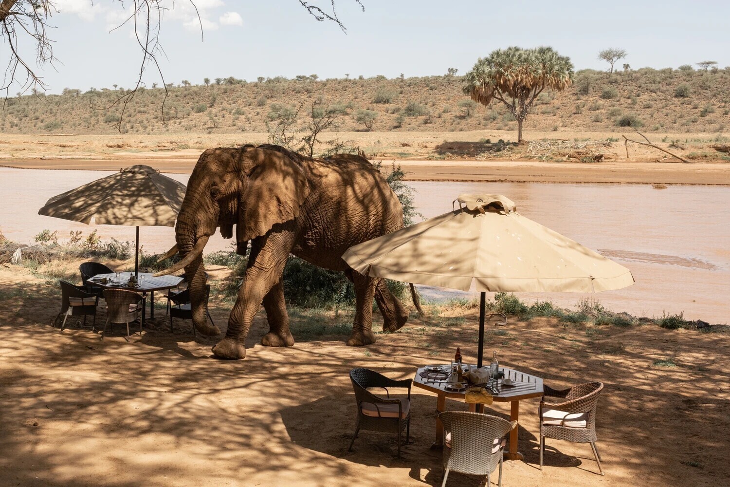 Elephant Bedroom Camp