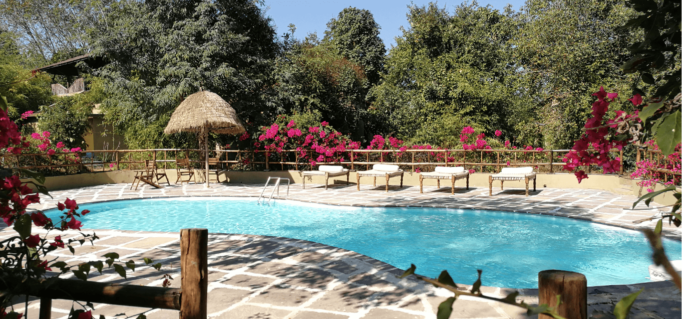 Forsyth Jungle Lodge