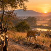 Into the Seeonee Hills: A Luxury Guide to a Safari in Pench